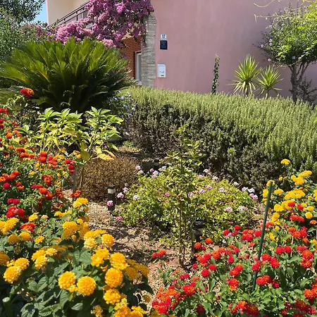 Casa vacanze Lyra Traù